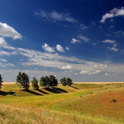 Павел Громов